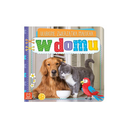 Książeczka Ulubione zwierzątka malucha W domu 062282