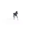 Schleich Źrebię Rasy Trakeńskiej Horse Club 461106