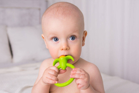 Gryzak kukurydza 958428 giligums