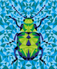 Zestaw kreatywny Malowanie po numerach Owady 2 obrazy 7+ Janod 379803