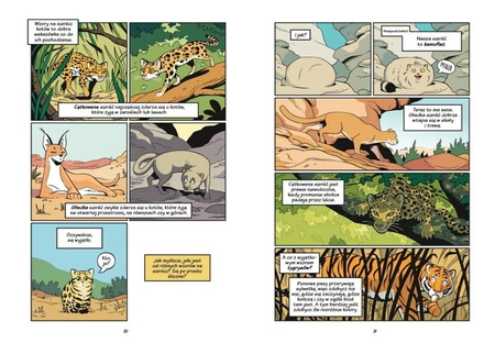 Koty natura i wychowanie 143518