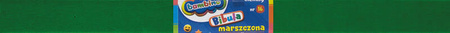 BIBUŁA MARSZCZONA 50x200 cm. - kol. 16 ZIELONY CIEMNY 662874