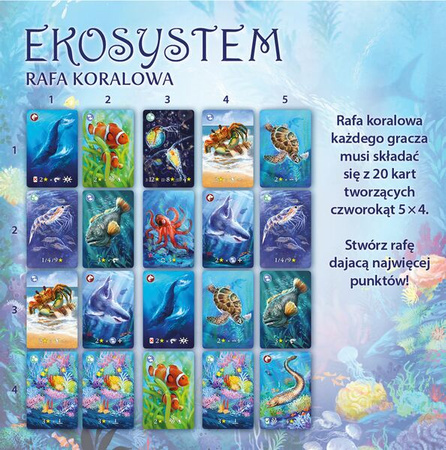 Gra Ekosystem 2 Rafa koralowa 900408