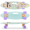 Deskorolka fish Groovy 445926