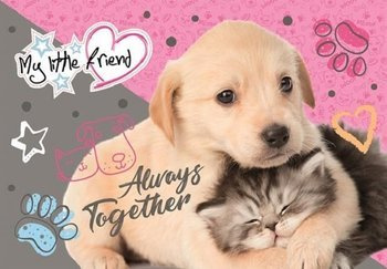 Podkład szkolny na biurko obustronny my little friend caca