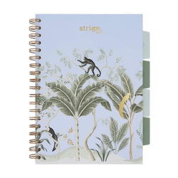 Strigo Pads Afryka B5  kratka pastelowy niebieski 100k 80g 842642