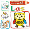 Kolorowanka koloruję kredkami las 362420