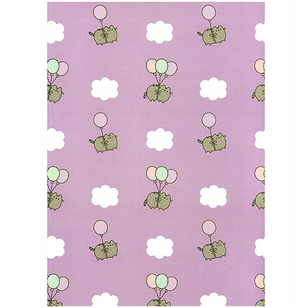 TECZKA Z GUMKĄ A4 300g PUSHEEN 679544