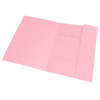 Teczka z gumką Oxford A4 Top File Karton pastel 412462