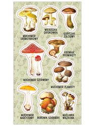 Naklejki Grzyby trujące 153052