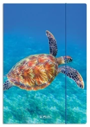 Teczka rysunkowa z gumką A4 Animals 580501