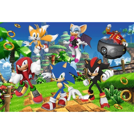 Puzzle Trefl 160 Sonic i przyjaciele 154214