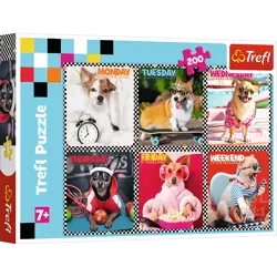 Puzzle Trefl 200 Wesołe psy 132793