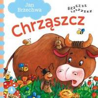 Chrząszcz 