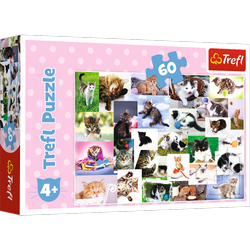 Puzzle trefl 60 koci świat