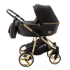 Wózek dziecięcy reggio special edition y300