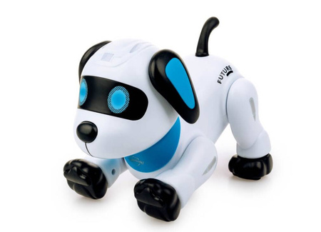 Psiak akrobata Junior RC 300108