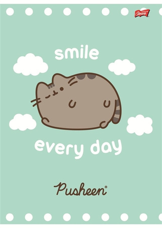 Zeszyt A5 32k linia laminowany PUSHEEN 679629