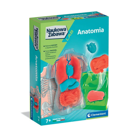 Clementoni Naukowa zabawa Anatomia 502523
