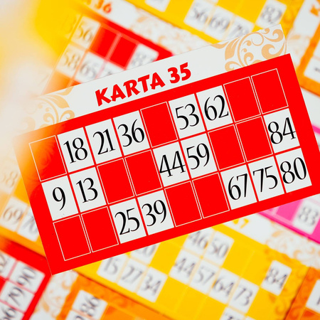 Lisciani Ludoteca Bingo 094196