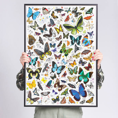 CzuCzu Puzzlove Motyle 1000el. puzzle rodzinne 493655