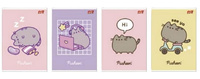 PUSHEEN kolorowy