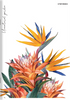 Zeszyt Top 2000 A5 80k linia z marginesem 70g Flowers 411901