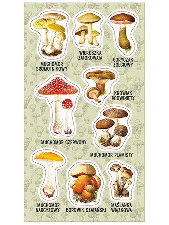 Naklejki Grzyby trujące 153052