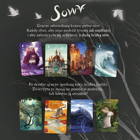 Gra Sowy 902631