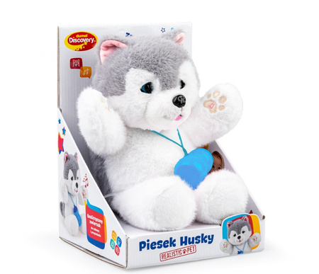 Dumel Piesek Husky 308203