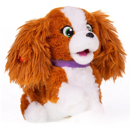 Puppy Luv Interaktywny piesek junior Bella 001067