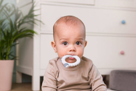 Gryzak owca 958381 giligums