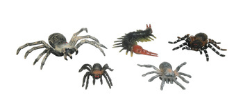 Zwierzęta pająki 182657