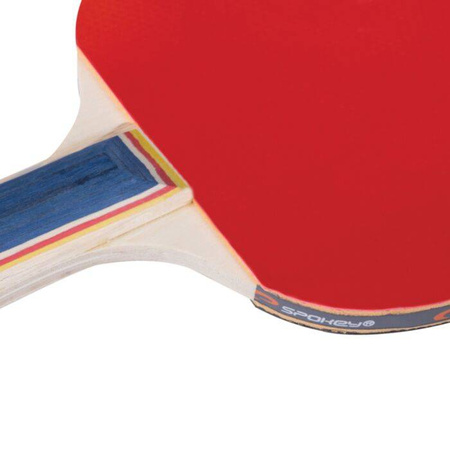 Rakietka Do Ping Ponga Training Pro 819199