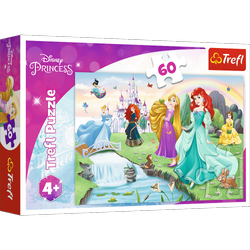 Puzzle Trefl 60 Poznaj Księżniczki / Disney Princess