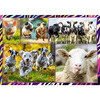 Puzzle Trefl 4x250 Zabawne zwierzaki 133134