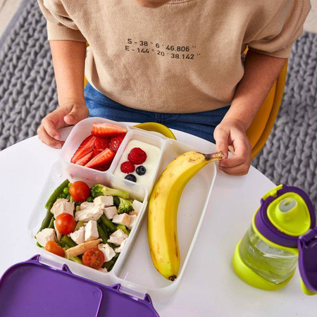 B.Box Lunchbox Indigo Rose 006558