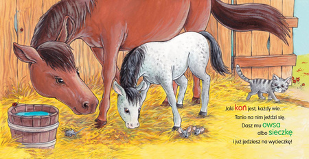 Książeczka Konik IHA IHA 072495