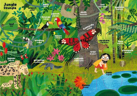 Zwierzęta. Moja pierwsza encyklopedia polsko-angielska z okienkami