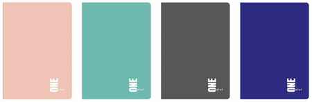 Zeszyt in 96k krata uv kol.one color 247438