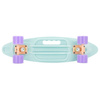 Deskorolka fish Groovy 445926