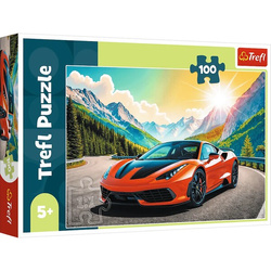 Puzzle Trefl 100 Wyścig z czasem 164909