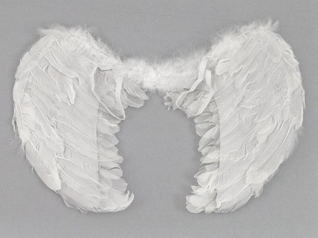 SKRZYDŁA ANIOŁKA DUŻE 444041