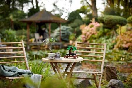 Lego 10281 drzewko bonsai