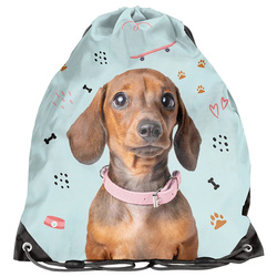 PASO WOREK NA BUTY PIES PP25JA-712 135090