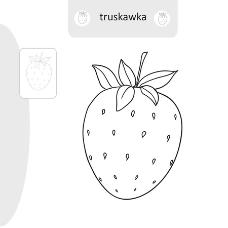 Książeczka Malowanie doklejanie Owoce 071115