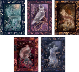 Zeszyt Top 2000 A5 60k linia L9M 70g  Fairytale 431244