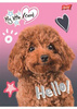 Zeszyt A5 16k krata laminowany MY LITTLE FRIEND 668265