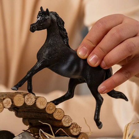 Schleich Ogier czystej krwi arabskiej 753676