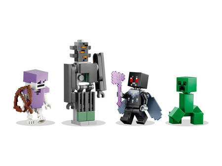 LEGO 21586 MINECRAFT Blady ogród 055854